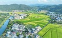 江西萍乡：秋日田园，美如画（图）