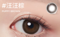 大直径美瞳怎么选？从参数到花色全解析，一步到位不踩坑