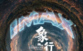 《象行记》预售开启：聚焦亚洲象，IMAX深化原创纪录电影探索