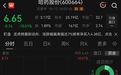 哈药股份开盘一字跌停，前一日公告：公司董事兼总裁芦传有被立案、实施留置