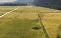 安徽省休宁县五城镇：物联网绿色防护 助力特色产业发展