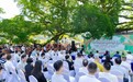 一心一河十节点！登云镇发布“百年夫妻榕”文旅IP概念规划