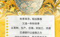 世界粮食日丨交通银行：为美好“接粒”