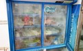 店内养狗、冰箱生霉、食材落地放 珠海斗门曝光多家餐饮隐患