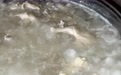 裕丰包子铺