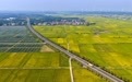 新余渝水区：路畅景美乡村兴（图）