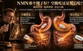 NMN哪个牌子好？空腹吃还是餐后吃？从转运通道与崩解位置看NMN品牌各自吸收差异