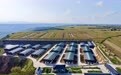 甘肃崆峒：养牛的底气足了　大伙儿的收入涨了