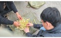 “都在山上熏，检查的根本找不到”，四川多地作坊用硫磺熏制鲜笋