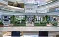 Weekend Max Mara 限时快闪登陆成都，品牌挚友谭松韵自在赴约