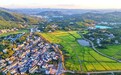 会昌县：秋日好“丰”景（图）