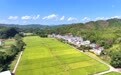 石城县：沃土万象焕新颜（图）