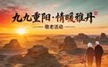 九九重阳　情暖敦煌雅丹
