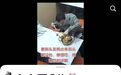 安徽合肥一顾客用餐发现头发默默挑出继续吃，老板娘最新发声