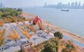 南昌红谷滩区：秋日盛景（图）