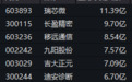 特斯拉引爆，A股人形机器人，批量涨停