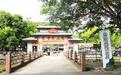 山林承非遗，荔火烤鲜鸡 ——广东《今日岭南》走进广州山林富贵天太和烧鸡