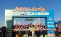 一步一景看治沙成果：千名跑者齐聚民勤沙海逐光