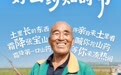 张宝山第四届铁棍山药霜降采挖季倒计时1天