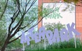 跳出“盒子”，朝阳大悦城 AFTER PARK 解锁公园商业新范本