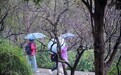 特稿·梁平｜循着光影叙事，八秩艺术大家萧晖荣携著作在中山陵走近大众