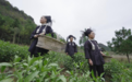 寻色人｜潘淘洁：让非遗，在时间里站稳、在生活中发光