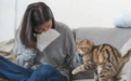 养猫后总犯鼻炎怎么办？双十一有什么除猫毛抗敏的空气净化器推荐？