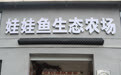 奔县游・来栾川 | 走进华之鲵娃娃鱼生态农场，探秘伏牛山特色生态产业
