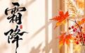 秋冬转换关键期，中大医院中医专家支招霜降养生