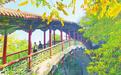 兰州五泉山“换装”：满园秋韵宛如油画