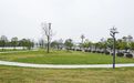 沉睡地块焕新 九江九龙新城一口袋公园亮相（图）