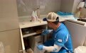 搬大师真实评价怎么看？从用户反馈拆解日式搬家服务细节