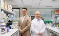 Mirxes觅瑞肝硬化血检能否撬动基层早筛缺口？
