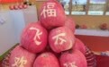 甘肃泾川苹果“选美”大赛开场　谁是最好的“果尖子”