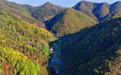 奔县游・来栾川｜走进隐心谷，于幽谷山林间邂逅山野乡愁