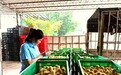 瑞普生物：用科技守护动物健康 把专业技术服务送到养殖一线