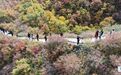 秋霜染层峦　甘肃永靖抱龙山迎来秋日“颜值巅峰”