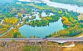 洛阳市孟津区黄河湿地国家级自然保护区秋色斑斓