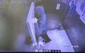 母子在电梯内虐猫超5分钟，警方回应