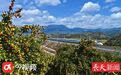 前9个月江西空气质量发布 优良天数比率达95.8%