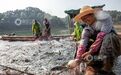 江西宜春：飞剑潭水库秋捕丰收（图）