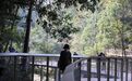 黄山屯溪：秋染昱城 解锁休闲文旅新图景