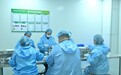 赏秦岭红叶看县域蝶变 留坝探索生态优势转化高质量发展新路径