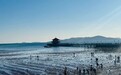 海里为什么要种草？