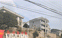 深耕和美乡村建设 绘就宜居宜业坪塘