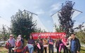 一颗苹果在甘肃崆峒的力量：撬动大产业　托起大民生