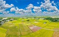 赣县区：土地整治焕新颜 良田增收惠民生