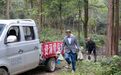 江西分宜：增殖放流棘胸蛙 守护深山好生态（图）
