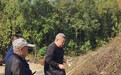 安庆发现“查母李太君”墓碑，补证陈独秀母系家世线索