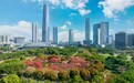 东莞这场盛会，即将开幕